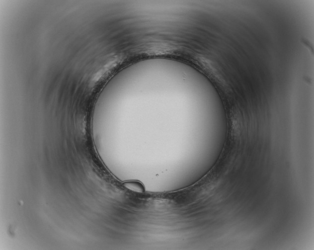 X0000103280539200809121947