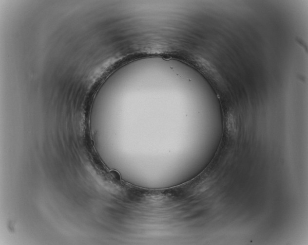 X0000103280540200809121947