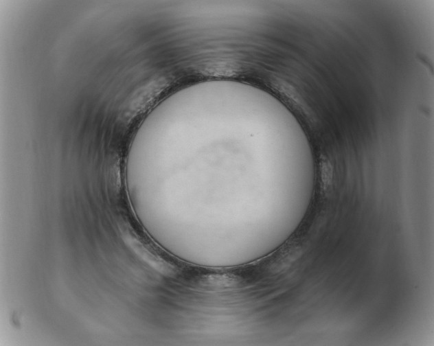 X0000103280541200809121947