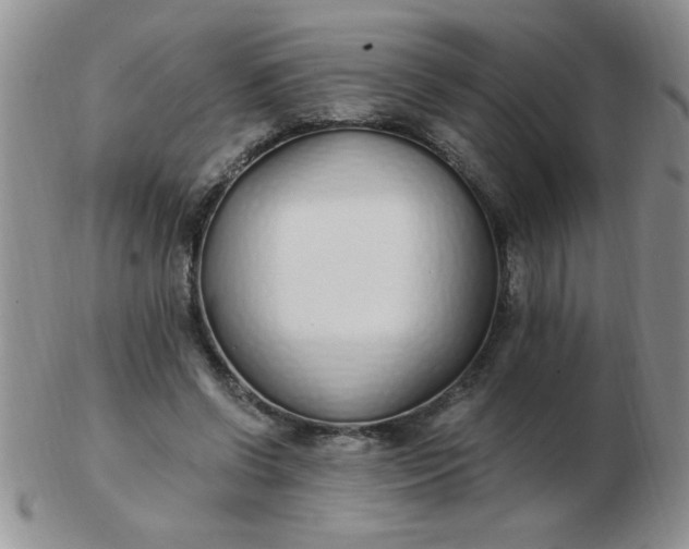 X0000103280542200809121947