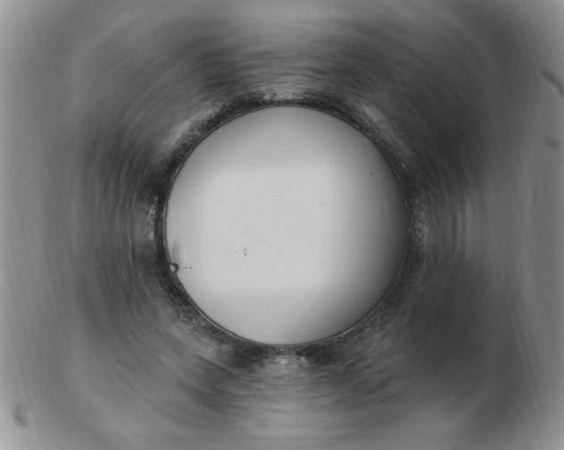 X0000103280543200809121947