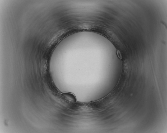 X0000103280544200809121947