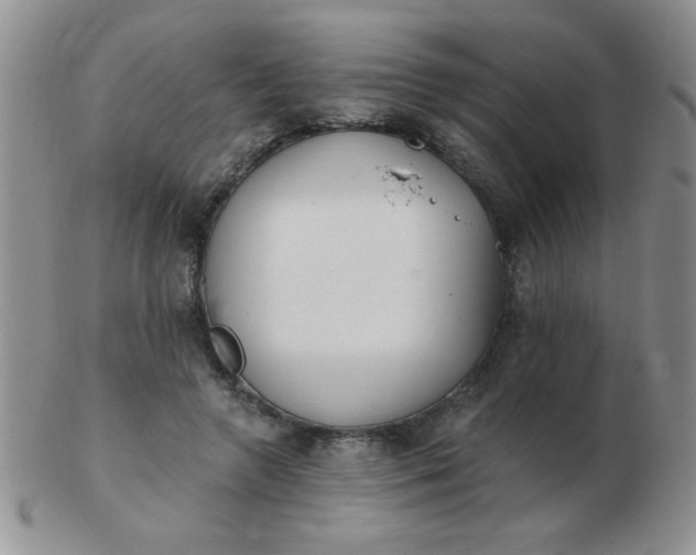 X0000103280546200809121947