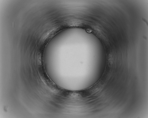 X0000103280547200809121947