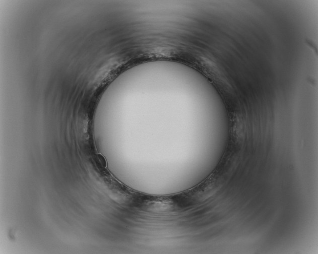 X0000103280548200809121947