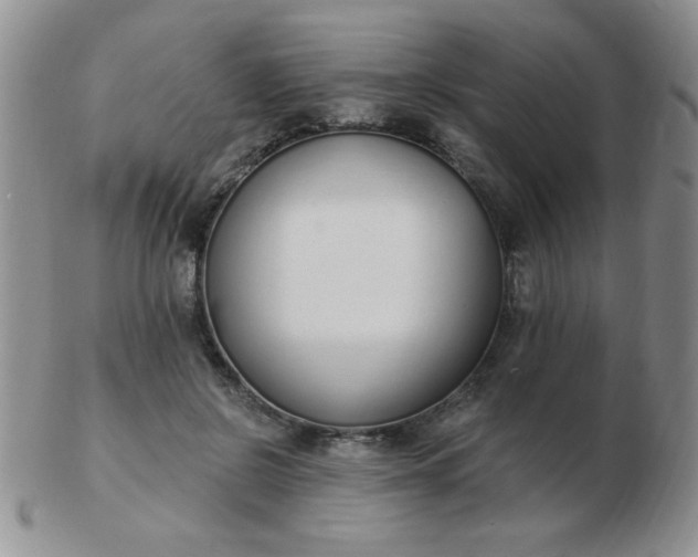 X0000103280550200809121947