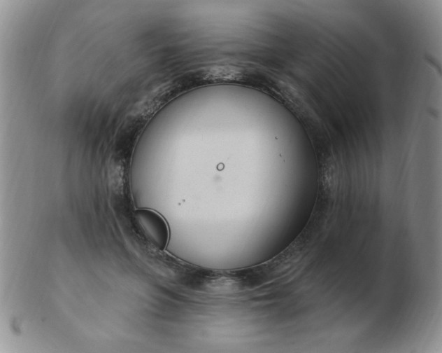 X0000103280551200809121947