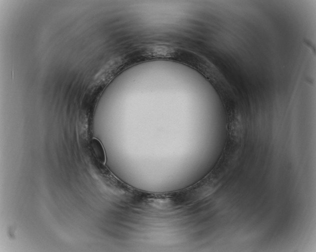 X0000103280552200809121947