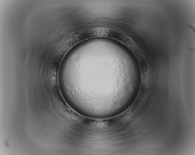 X0000103280553200809121947