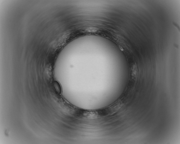 X0000103280559200809121947