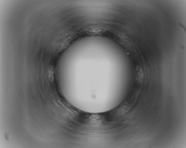 X0000103280562200809121947