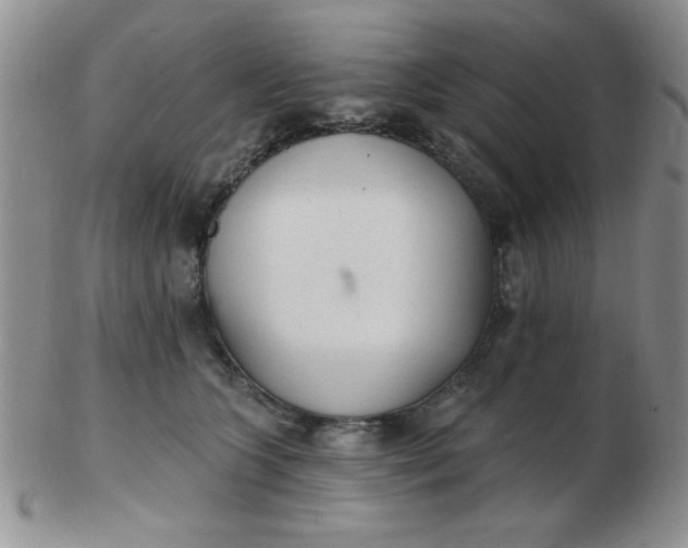 X0000103280563200809121948