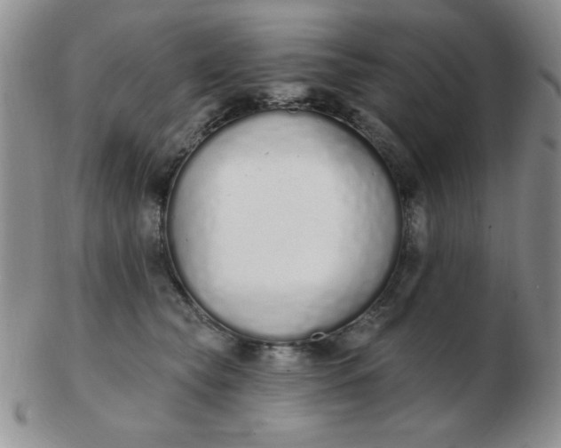 X0000103280565200809121948