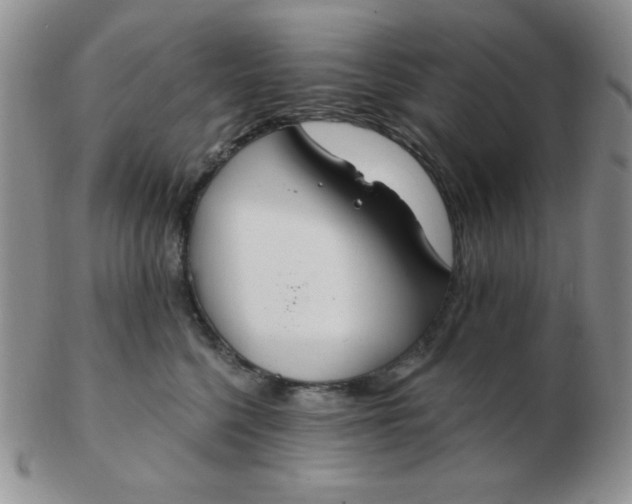 X0000103280568200809121948