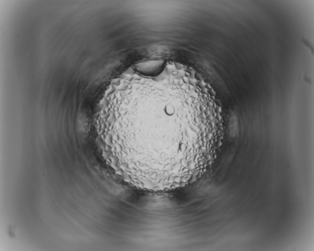 X0000103280569200809121948