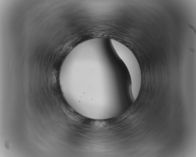 X0000103280570200809121948