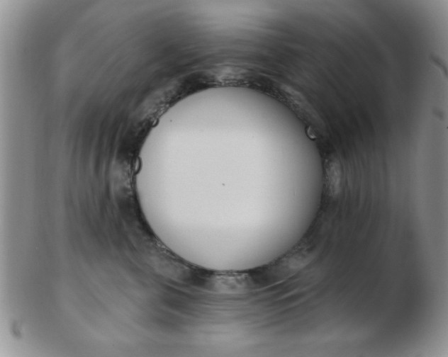 X0000103280571200809121948