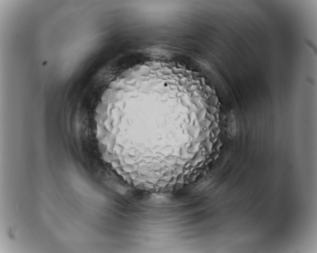 X0000103280573200809121948