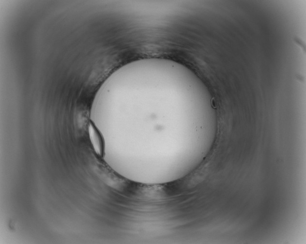 X0000103280576200809121948