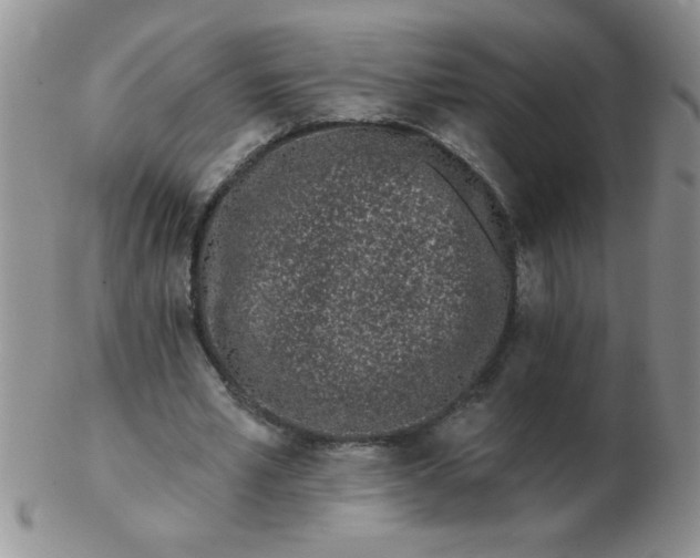 X0000103280581200809121947