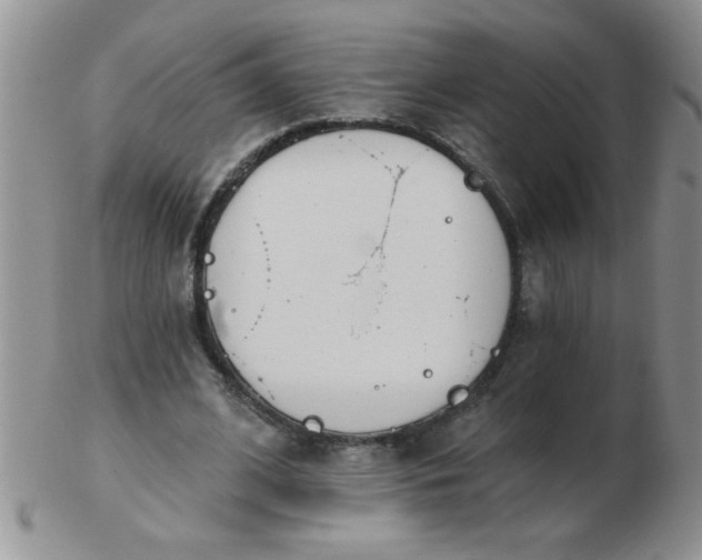 X0000103280584200809121947