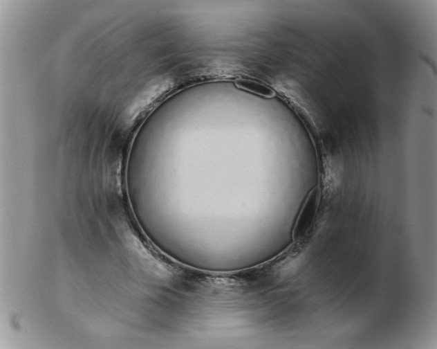 X0000103280585200809121947