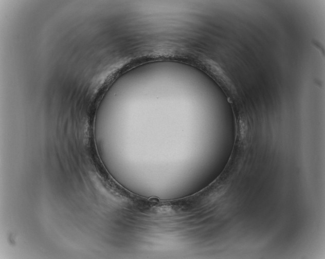 X0000103280588200809121947