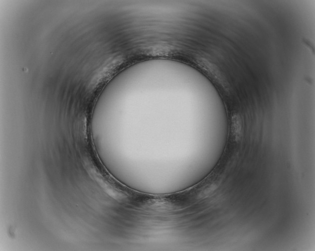 X0000103280589200809121947