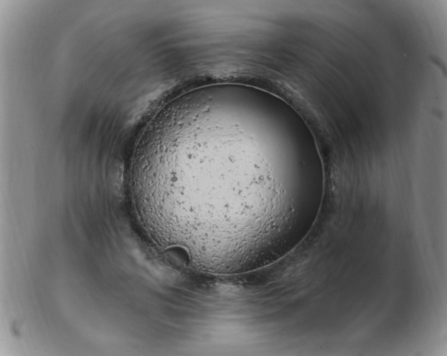 X0000103280592200809121947