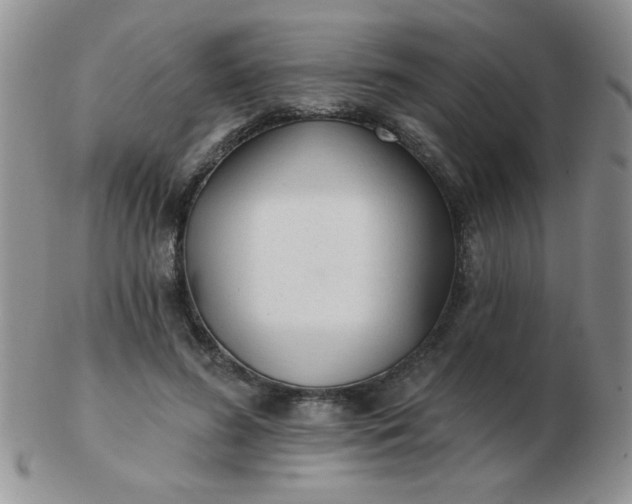 X0000103280596200809121947