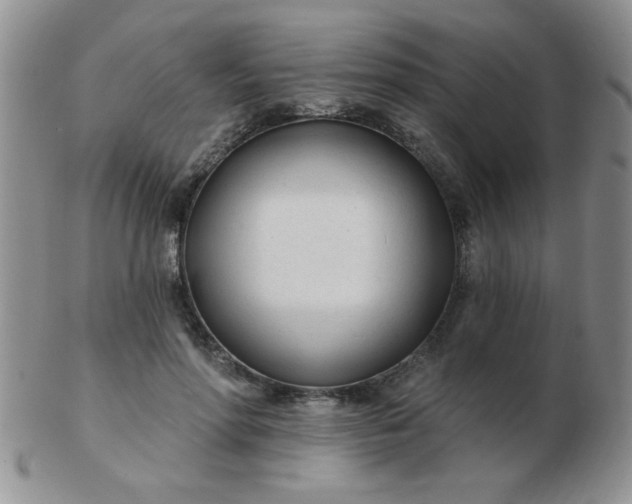 X0000103280598200809121947