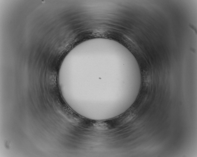 X0000103280603200809121946