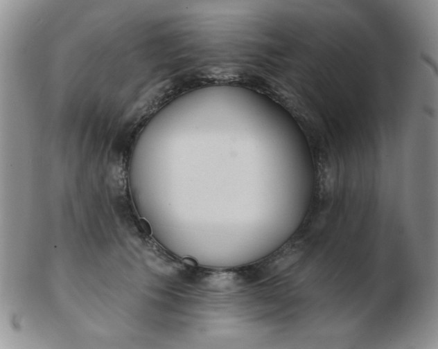 X0000103280609200809121946