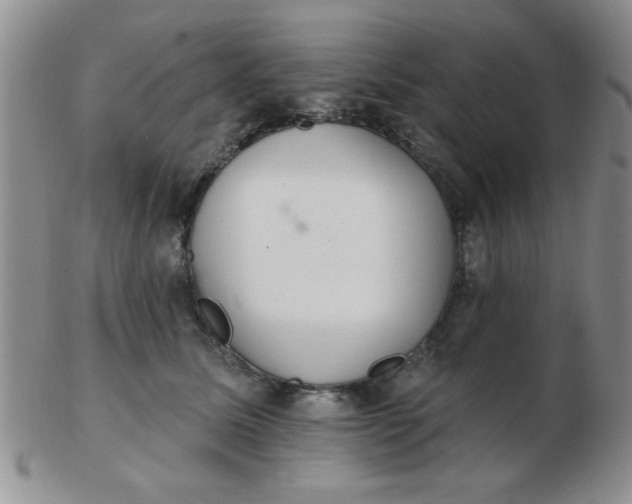 X0000103280611200809121946