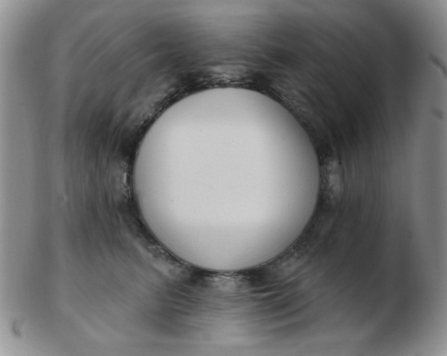 X0000103280615200809121946