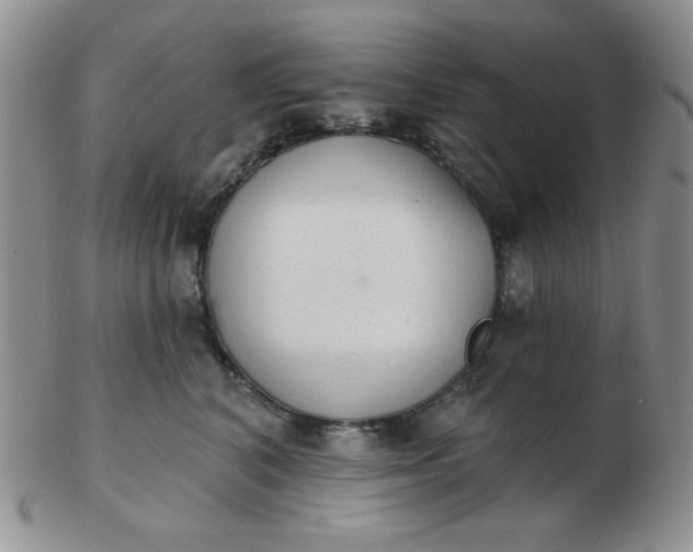 X0000103280616200809121946