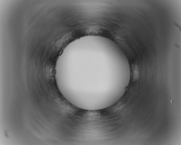 X0000103280619200809121946