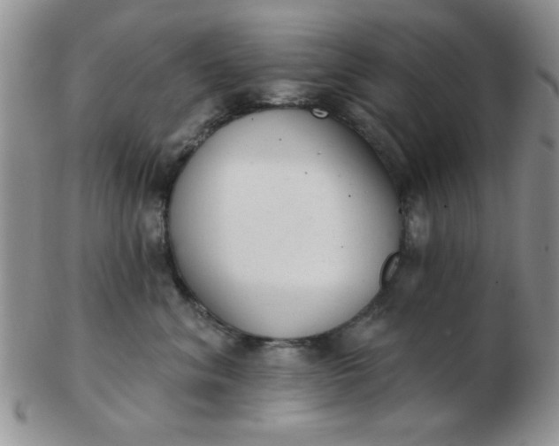 X0000103280620200809121946