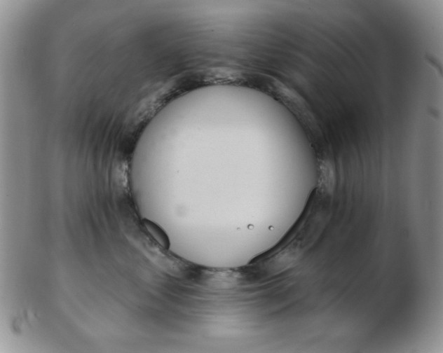 X0000103280621200809121946