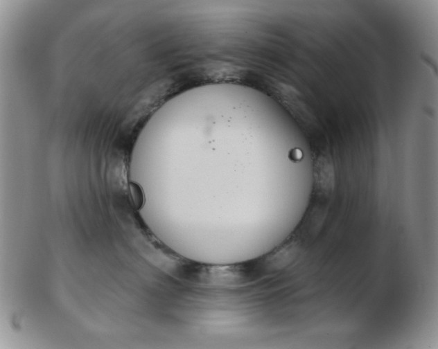 X0000103280622200809121946