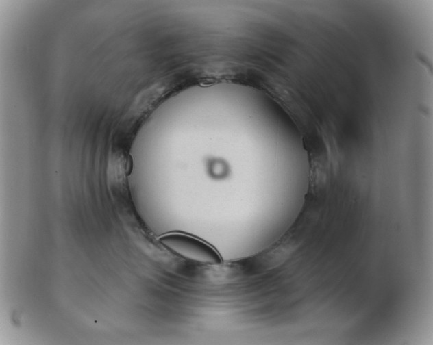 X0000103280623200809121946