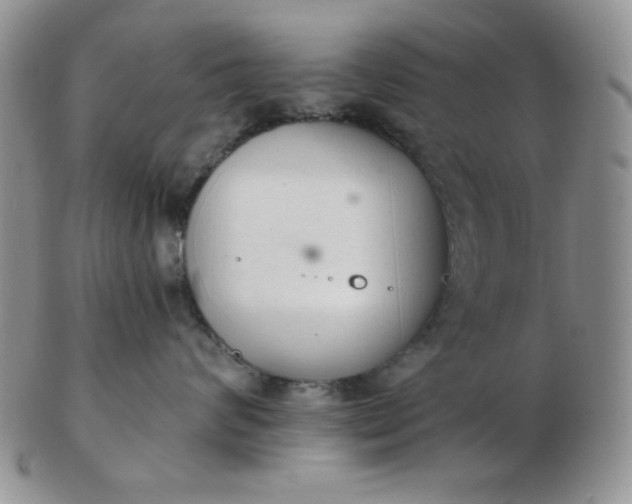 X0000103280624200809121946