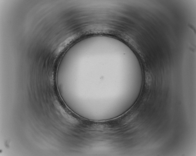 X0000103280629200809121946