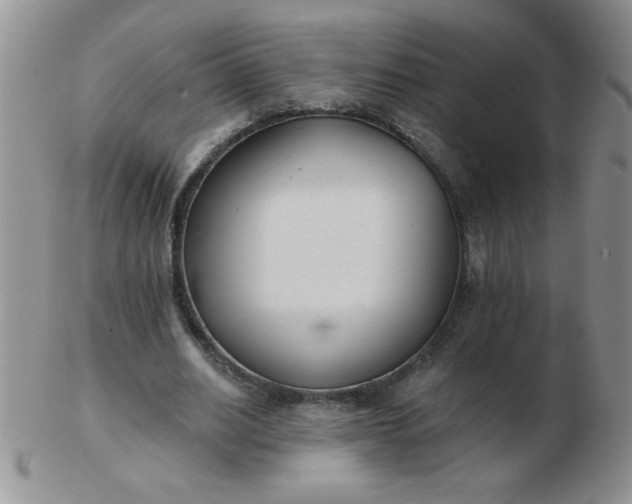 X0000103280630200809121946