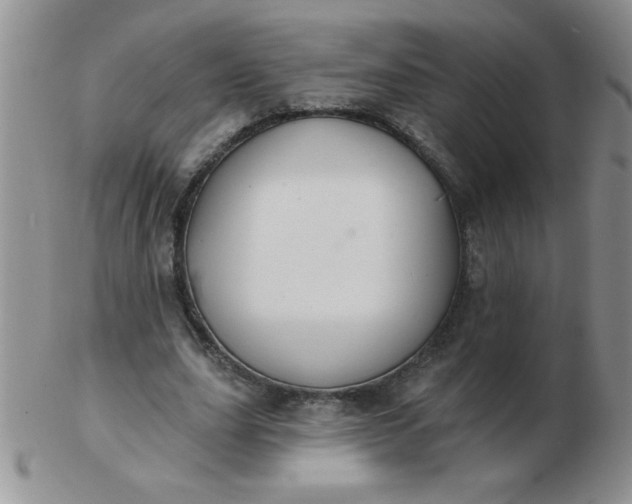 X0000103280631200809121946