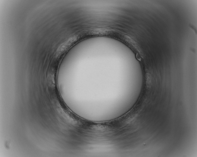 X0000103280633200809121946