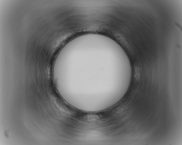 X0000103280636200809121946