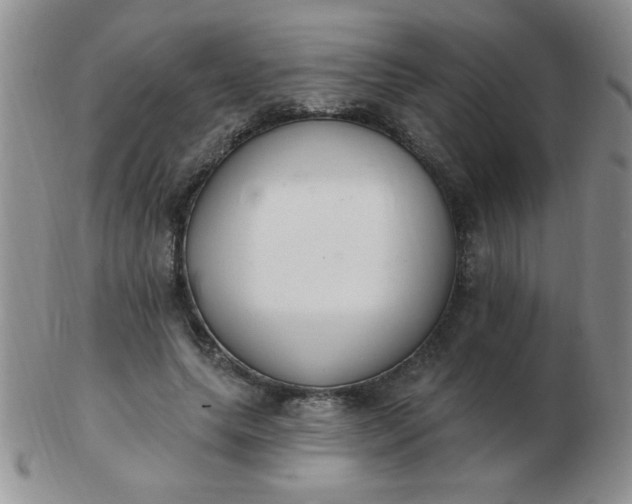 X0000103280639200809121946