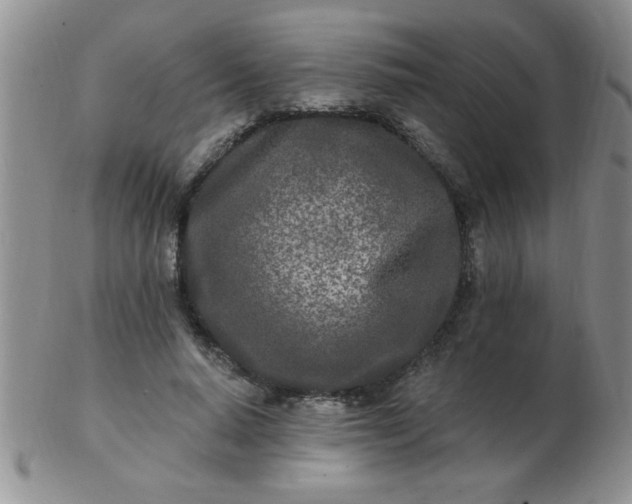 X0000103280640200809121946