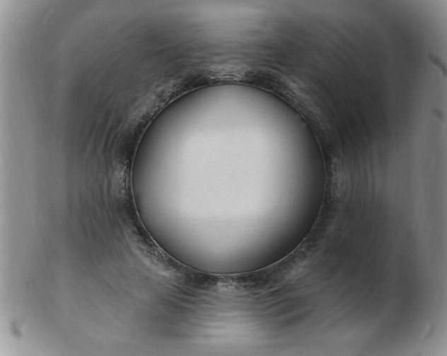 X0000103280641200809121946